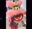 Chinese Newyear 2026 - Utrecht